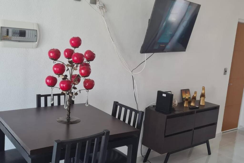 Bonito Penthouse Con Roof Garden Apartamento Manzanillo Exterior foto
